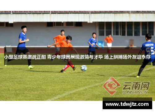 小型足球赛激战正酣 青少年球员展现激情与才华 场上拼搏场外友谊永存